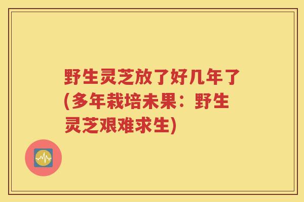 野生灵芝放了好几年了(多年栽培未果：野生灵芝艰难求生)
