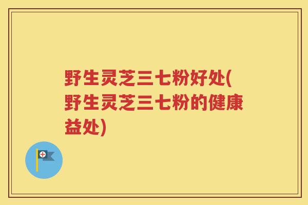 野生灵芝三七粉好处(野生灵芝三七粉的健康益处)