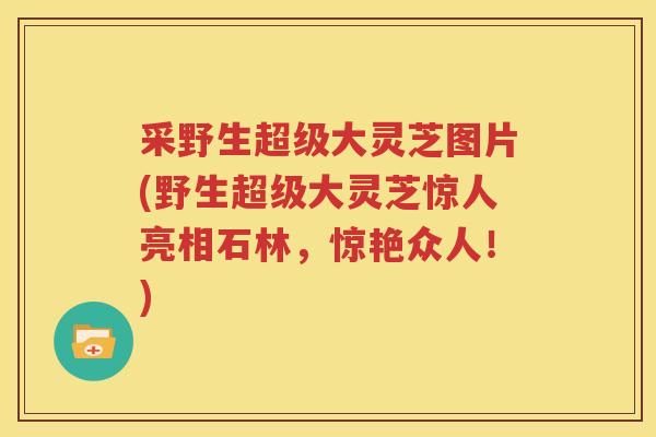 采野生超级大灵芝图片(野生超级大灵芝惊人亮相石林，惊艳众人！)