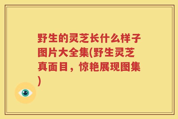 野生的灵芝长什么样子图片大全集(野生灵芝真面目，惊艳展现图集)