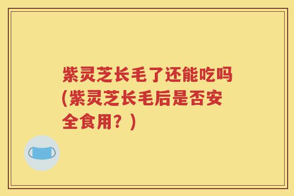 紫灵芝长毛了还能吃吗(紫灵芝长毛后是否安全食用？)