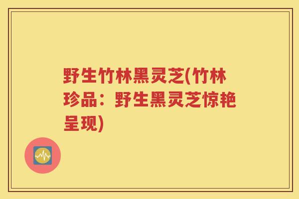 野生竹林黑灵芝(竹林珍品：野生黑灵芝惊艳呈现)
