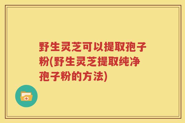 野生灵芝可以提取孢子粉(野生灵芝提取纯净孢子粉的方法)