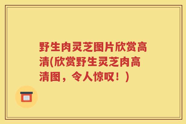 野生肉灵芝图片欣赏高清(欣赏野生灵芝肉高清图，令人惊叹！)
