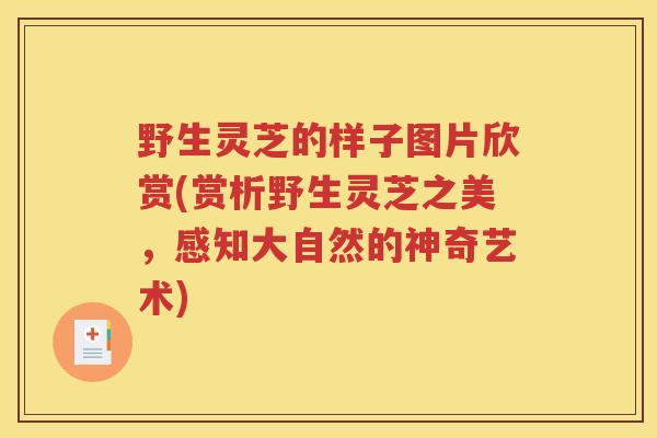 野生灵芝的样子图片欣赏(赏析野生灵芝之美，感知大自然的神奇艺术)