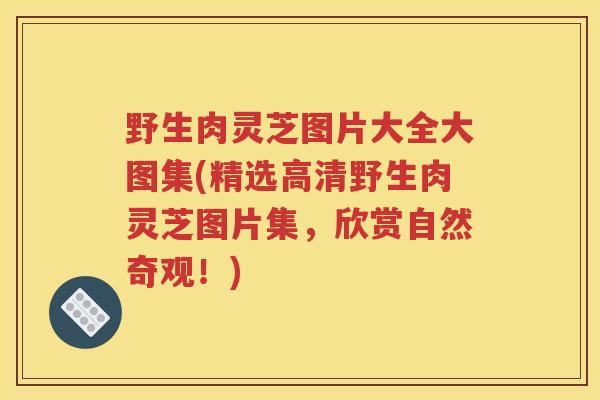 野生肉灵芝图片大全大图集(精选高清野生肉灵芝图片集，欣赏自然奇观！)