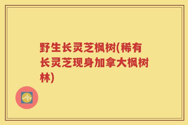 野生长灵芝枫树(稀有长灵芝现身加拿大枫树林)