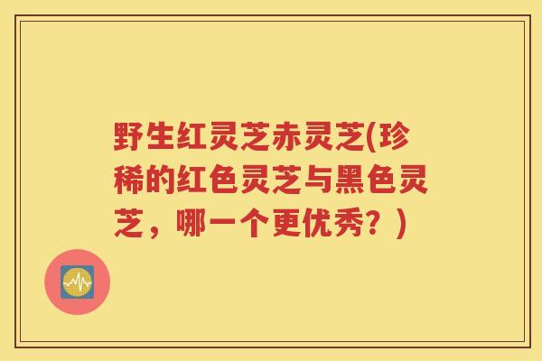 野生红灵芝赤灵芝(珍稀的红色灵芝与黑色灵芝，哪一个更优秀？)