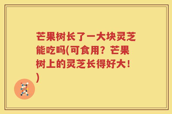 芒果树长了一大块灵芝能吃吗(可食用？芒果树上的灵芝长得好大！)