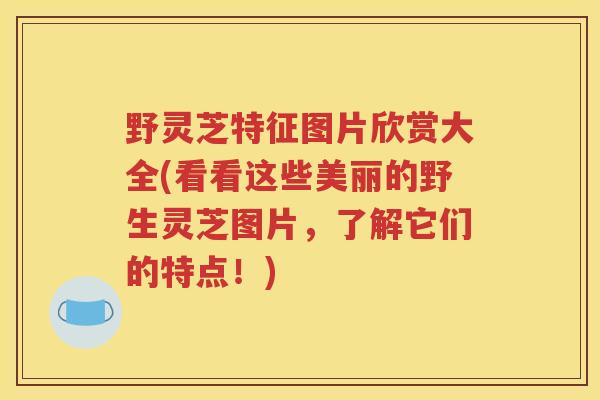 野灵芝特征图片欣赏大全(看看这些美丽的野生灵芝图片，了解它们的特点！)