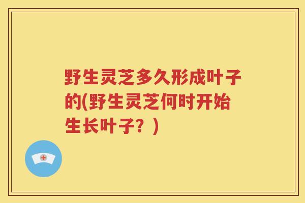 野生灵芝多久形成叶子的(野生灵芝何时开始生长叶子？)