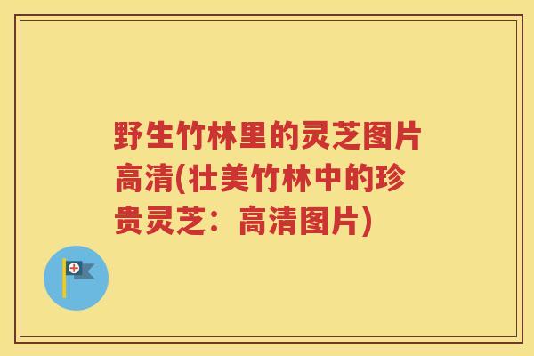 野生竹林里的灵芝图片高清(壮美竹林中的珍贵灵芝：高清图片)