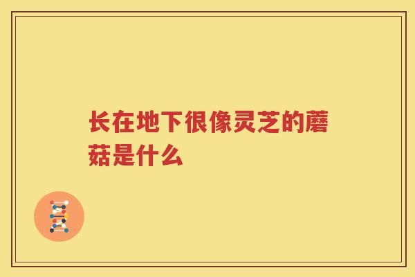 长在地下很像灵芝的蘑菇是什么