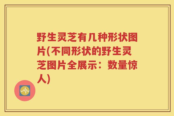 野生灵芝有几种形状图片(不同形状的野生灵芝图片全展示：数量惊人)