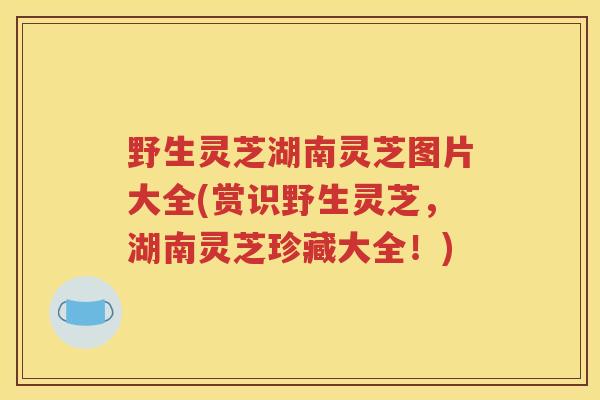 野生灵芝湖南灵芝图片大全(赏识野生灵芝，湖南灵芝珍藏大全！)
