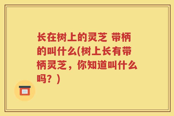长在树上的灵芝 带柄的叫什么(树上长有带柄灵芝，你知道叫什么吗？)