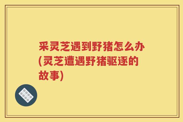 采灵芝遇到野猪怎么办(灵芝遭遇野猪驱逐的故事)