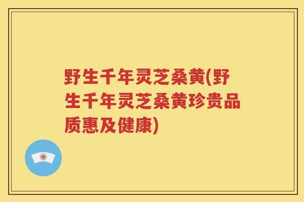 野生千年灵芝桑黄(野生千年灵芝桑黄珍贵品质惠及健康)