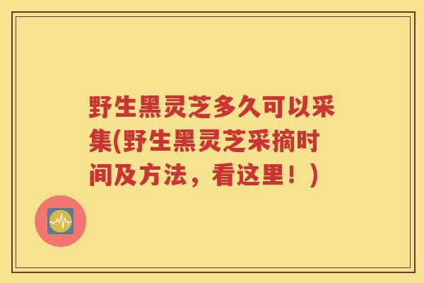 野生黑灵芝多久可以采集(野生黑灵芝采摘时间及方法，看这里！)