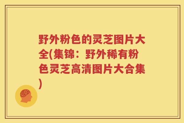野外粉色的灵芝图片大全(集锦：野外稀有粉色灵芝高清图片大合集)
