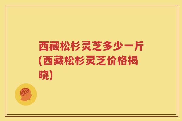 西藏松杉灵芝多少一斤(西藏松杉灵芝价格揭晓)