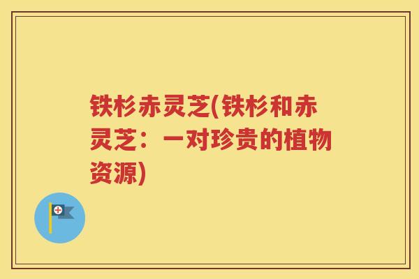 铁杉赤灵芝(铁杉和赤灵芝：一对珍贵的植物资源)
