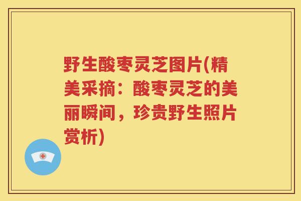 野生酸枣灵芝图片(精美采摘：酸枣灵芝的美丽瞬间，珍贵野生照片赏析)