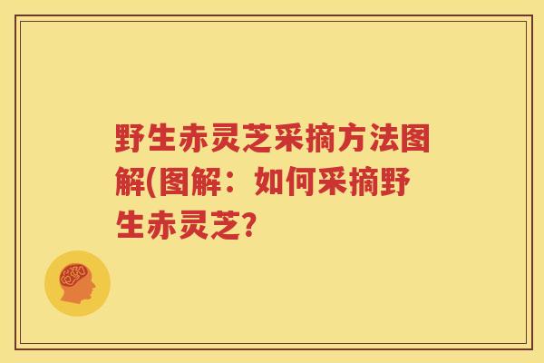 野生赤灵芝采摘方法图解(图解：如何采摘野生赤灵芝？
