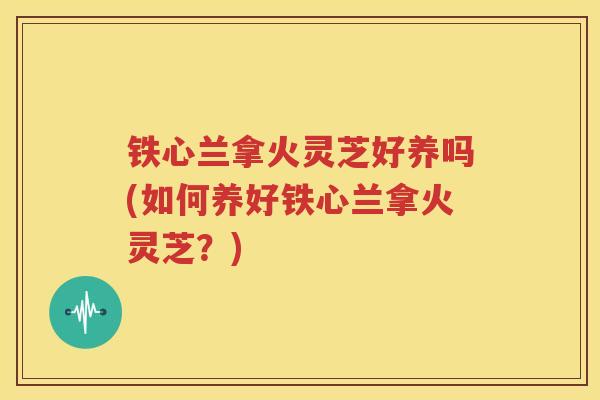 铁心兰拿火灵芝好养吗(如何养好铁心兰拿火灵芝？)