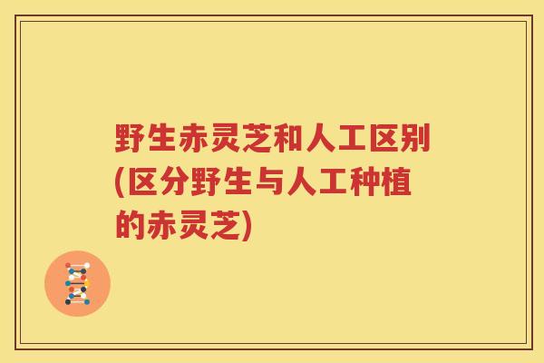 野生赤灵芝和人工区别(区分野生与人工种植的赤灵芝)