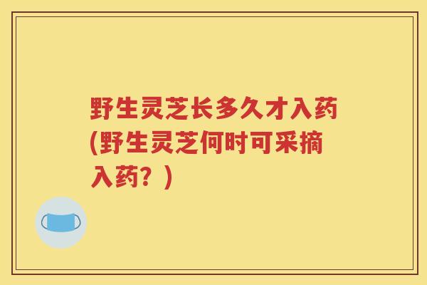 野生灵芝长多久才入药(野生灵芝何时可采摘入药？)
