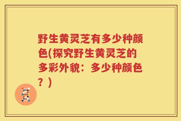 野生黄灵芝有多少种颜色(探究野生黄灵芝的多彩外貌：多少种颜色？)