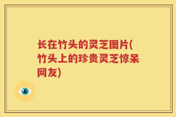 长在竹头的灵芝图片(竹头上的珍贵灵芝惊呆网友)
