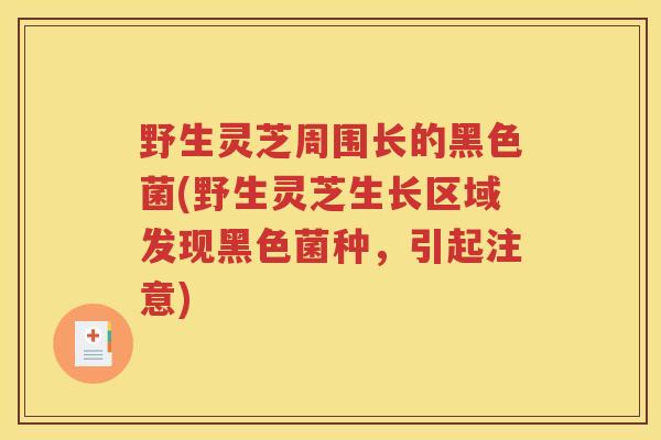 野生灵芝周围长的黑色菌(野生灵芝生长区域发现黑色菌种，引起注意)