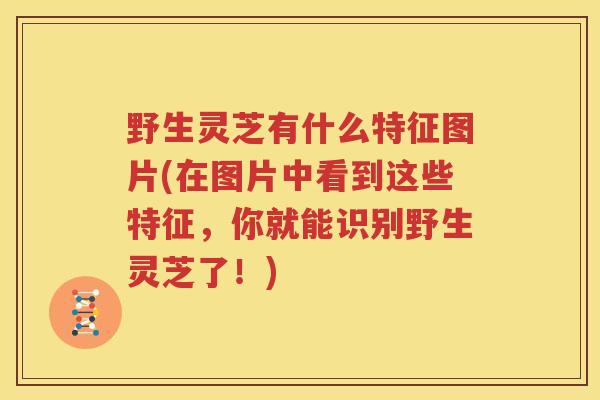 野生灵芝有什么特征图片(在图片中看到这些特征，你就能识别野生灵芝了！)
