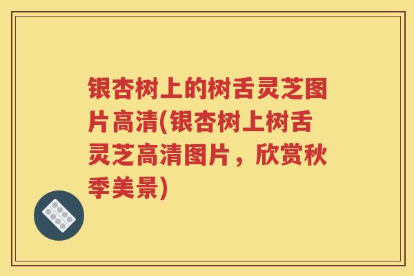 银杏树上的树舌灵芝图片高清(银杏树上树舌灵芝高清图片，欣赏秋季美景)