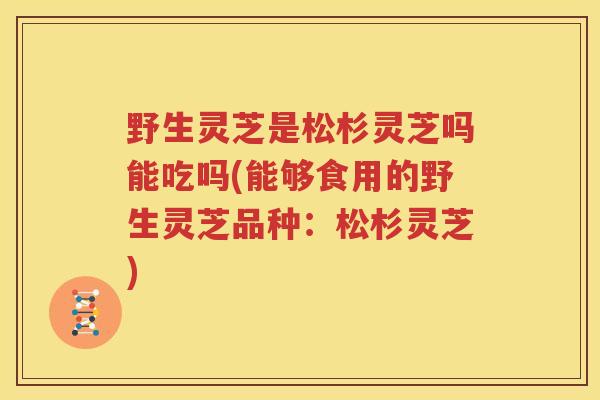 野生灵芝是松杉灵芝吗能吃吗(能够食用的野生灵芝品种：松杉灵芝)