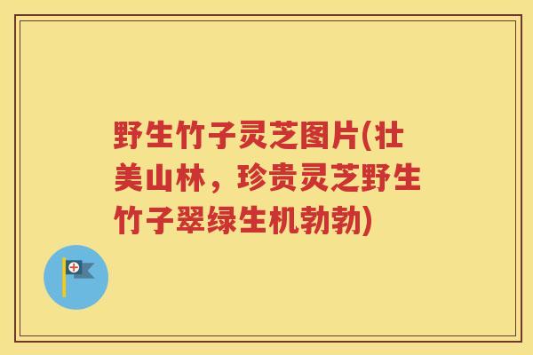 野生竹子灵芝图片(壮美山林，珍贵灵芝野生竹子翠绿生机勃勃)