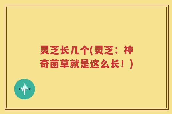 灵芝长几个(灵芝：神奇菌草就是这么长！)