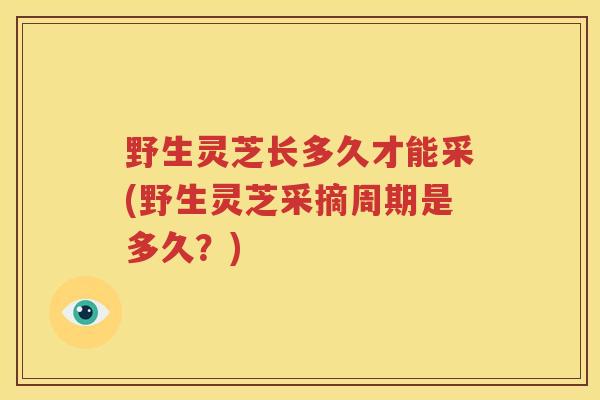 野生灵芝长多久才能采(野生灵芝采摘周期是多久？)
