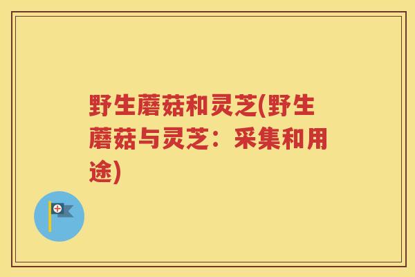 野生蘑菇和灵芝(野生蘑菇与灵芝：采集和用途)