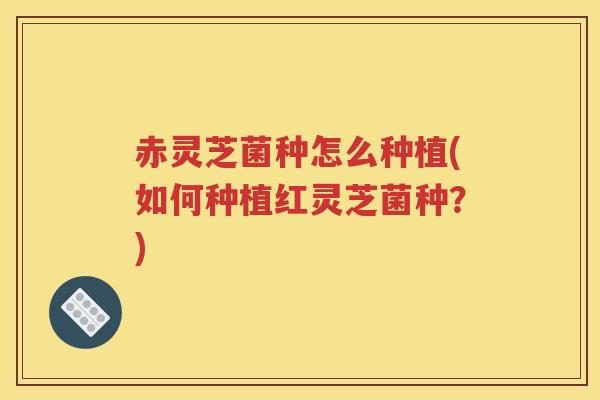 赤灵芝菌种怎么种植(如何种植红灵芝菌种？)