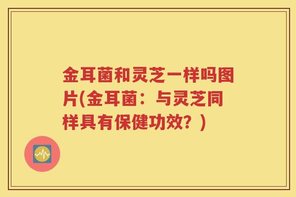 金耳菌和灵芝一样吗图片(金耳菌：与灵芝同样具有保健功效？)