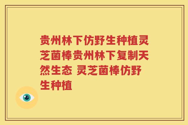 贵州林下仿野生种植灵芝菌棒贵州林下复制天然生态 灵芝菌棒仿野生种植