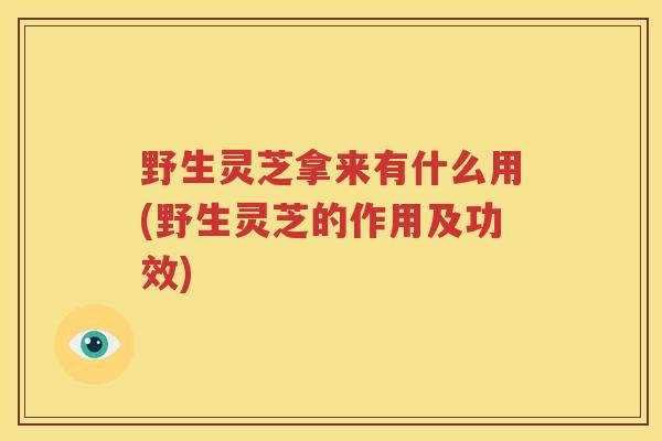 野生灵芝拿来有什么用(野生灵芝的作用及功效)