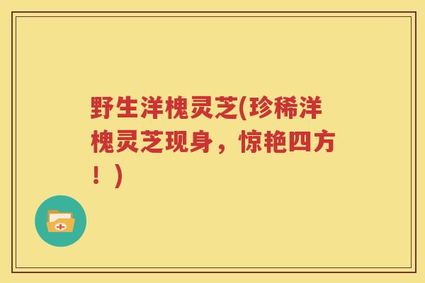 野生洋槐灵芝(珍稀洋槐灵芝现身，惊艳四方！)