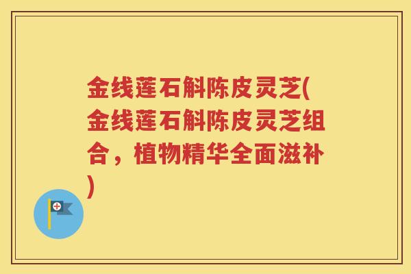 金线莲石斛陈皮灵芝(金线莲石斛陈皮灵芝组合，植物精华全面滋补)
