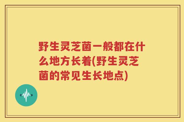 野生灵芝菌一般都在什么地方长着(野生灵芝菌的常见生长地点)