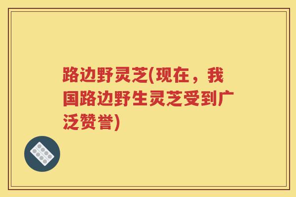 路边野灵芝(现在，我国路边野生灵芝受到广泛赞誉)