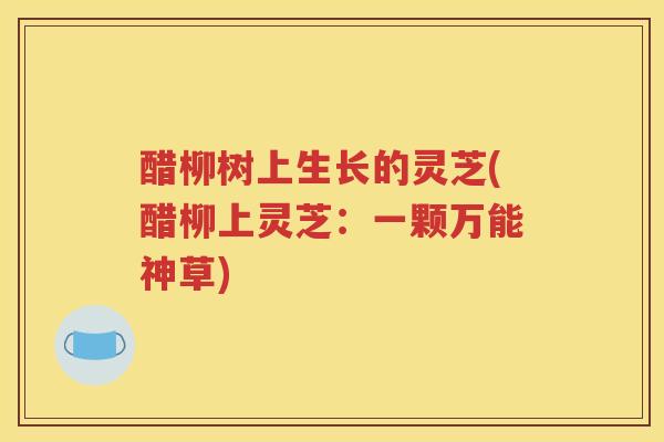 醋柳树上生长的灵芝(醋柳上灵芝：一颗万能神草)